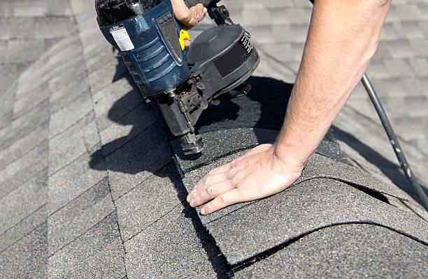 Best Metal Roofing Installation  in Drexel Heights, AZ